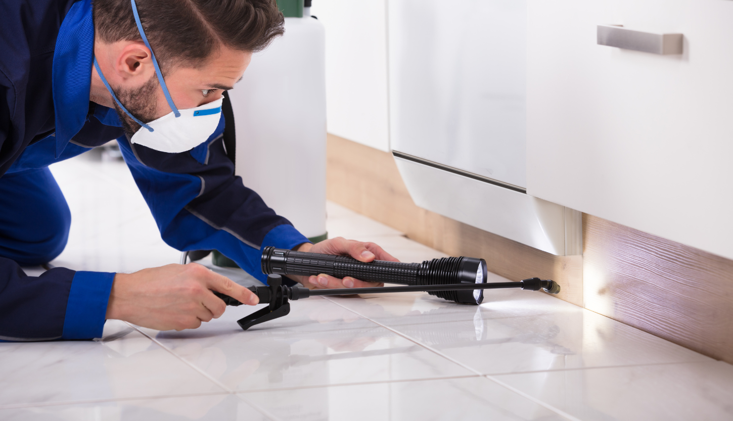 man completing a termite inspection