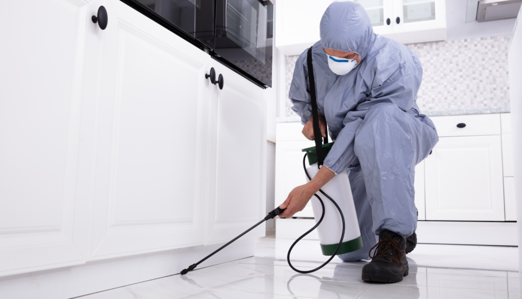 man spraying for bugs